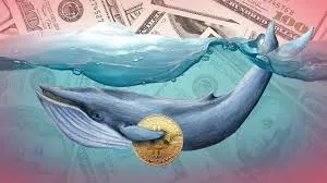 Bitcoin whales, Bitcoin, tiền điện tử